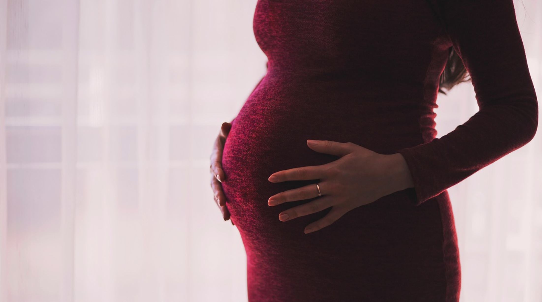 pregnancy rates pregnancy rates
