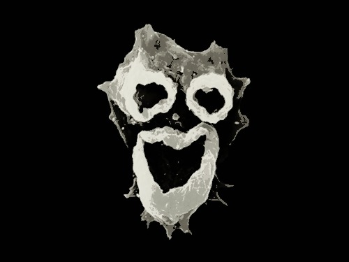 amoeba-two