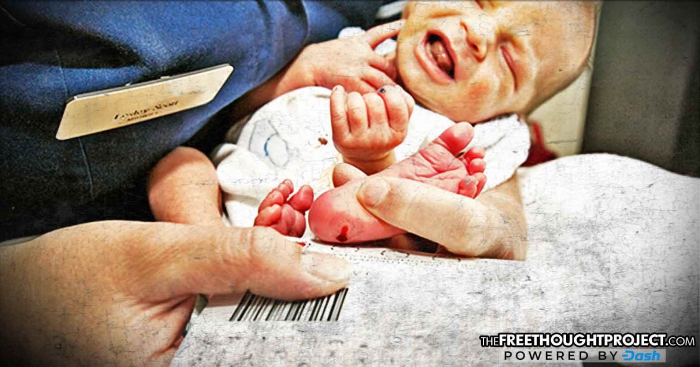 baby-dna-1392x731 baby-dna-1392x731