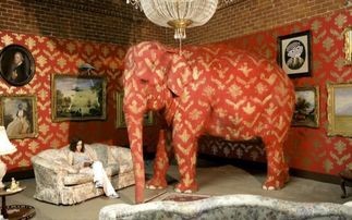 elephant living room elephant living room