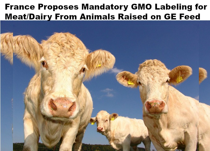 france gmo labeling france gmo labeling