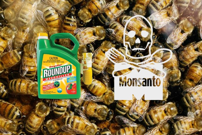 honey-bees-fungicides-1 honey-bees-fungicides-1
