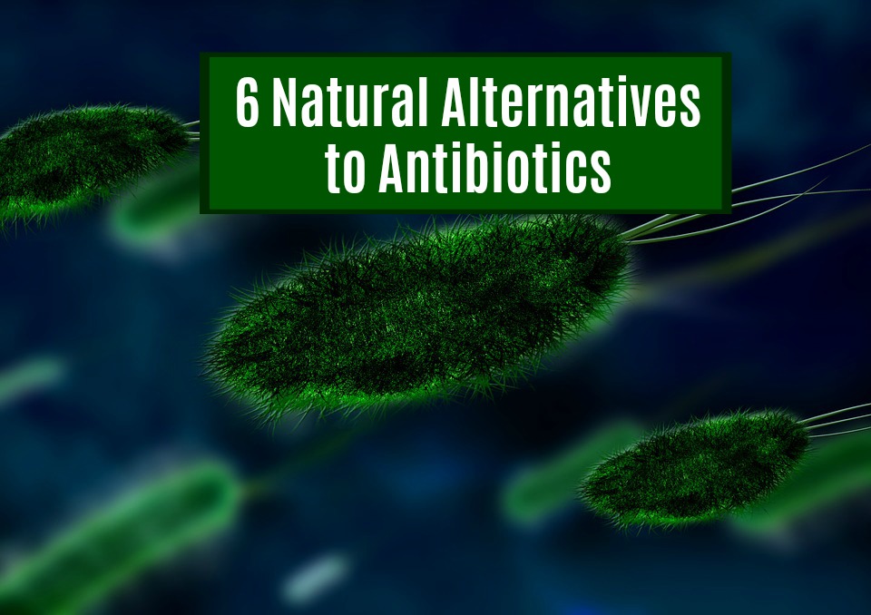 natural alternatives to antibiotics natural alternatives to antibiotics