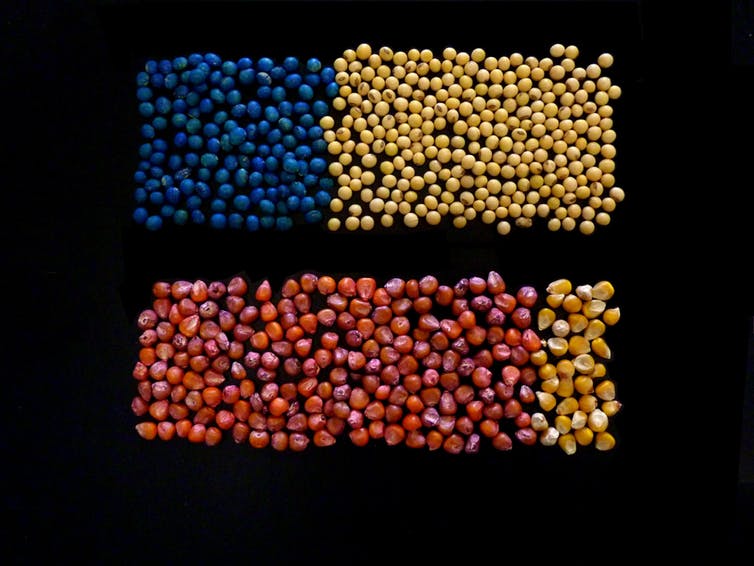 neonics Why it's time to curb widespread use of neonicotinoid pesticides