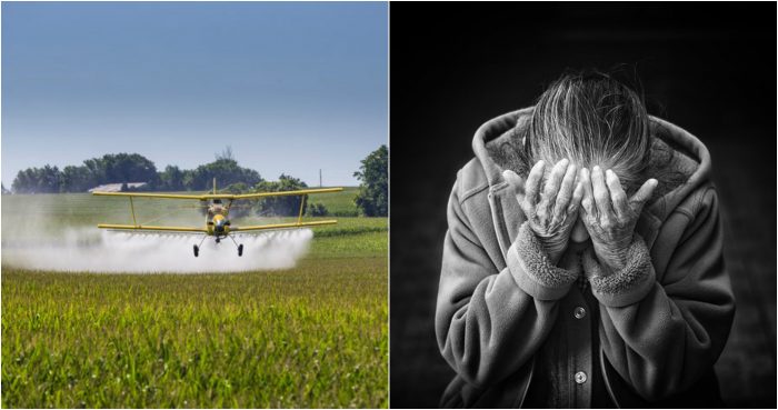 pesticides-parkinsons-700x369 pesticides-parkinsons-700x369
