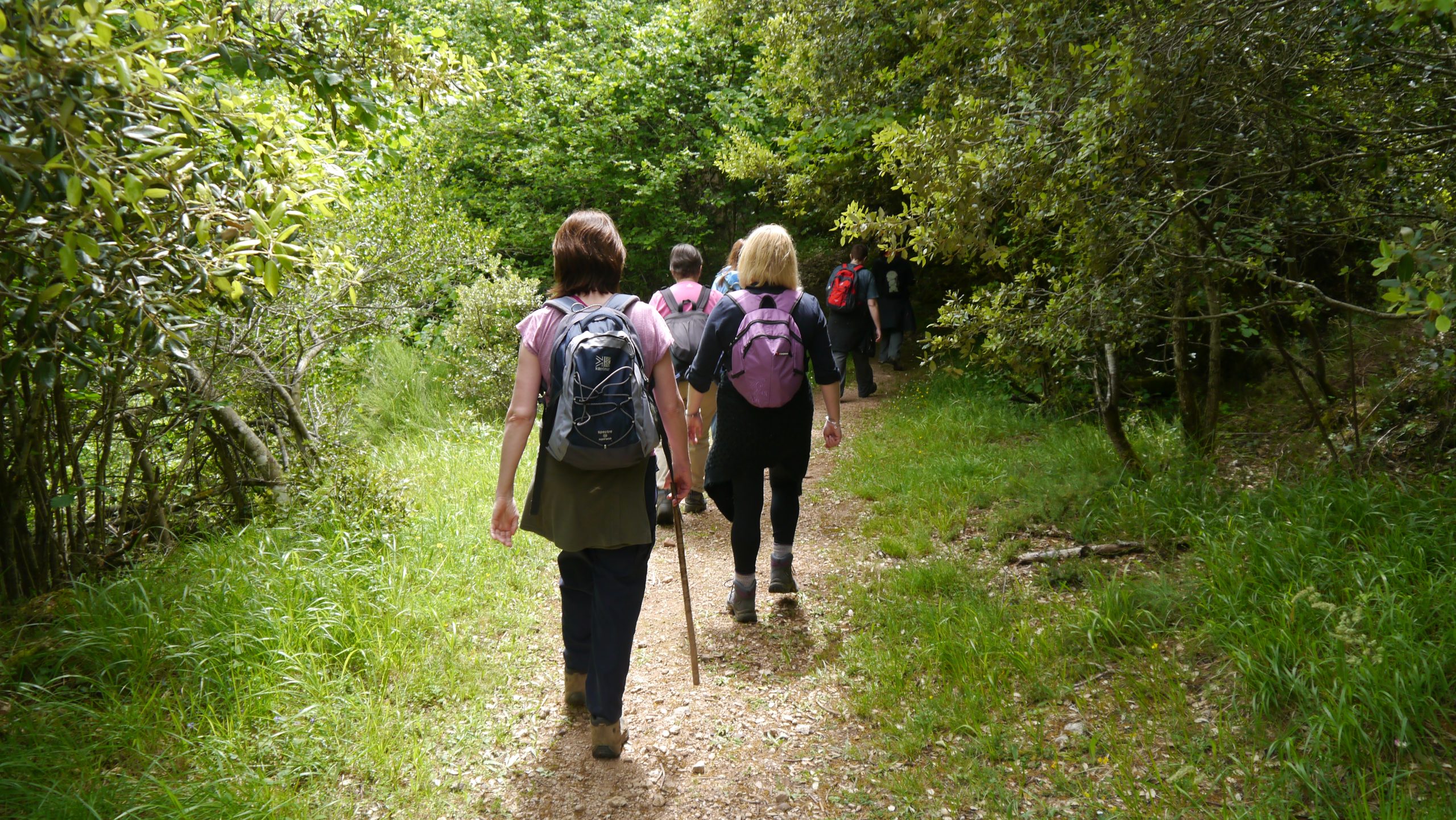 walking in nature