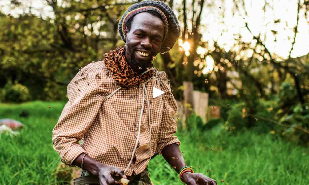Farai-Chinomwe-Beautiful-News-Africa-Facebook-Screenshot