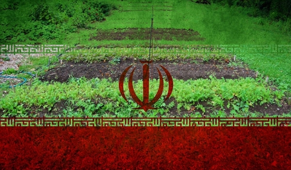 Iran-food