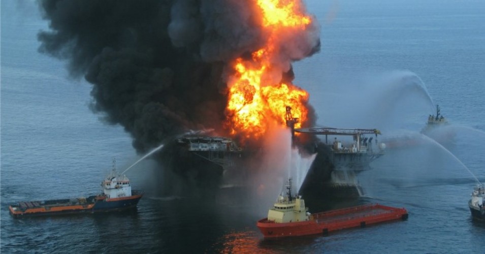 Study Warns of Deepwater Horizon Disaster Long-Lasting Impact on Marine Life’s “Building Blocks”