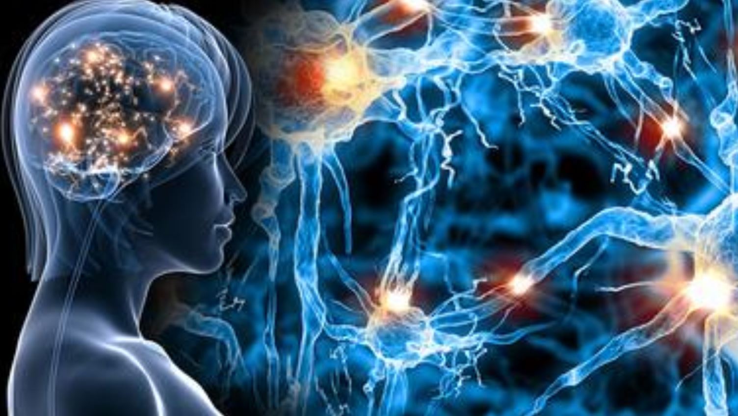 optogenetics main optogenetics main