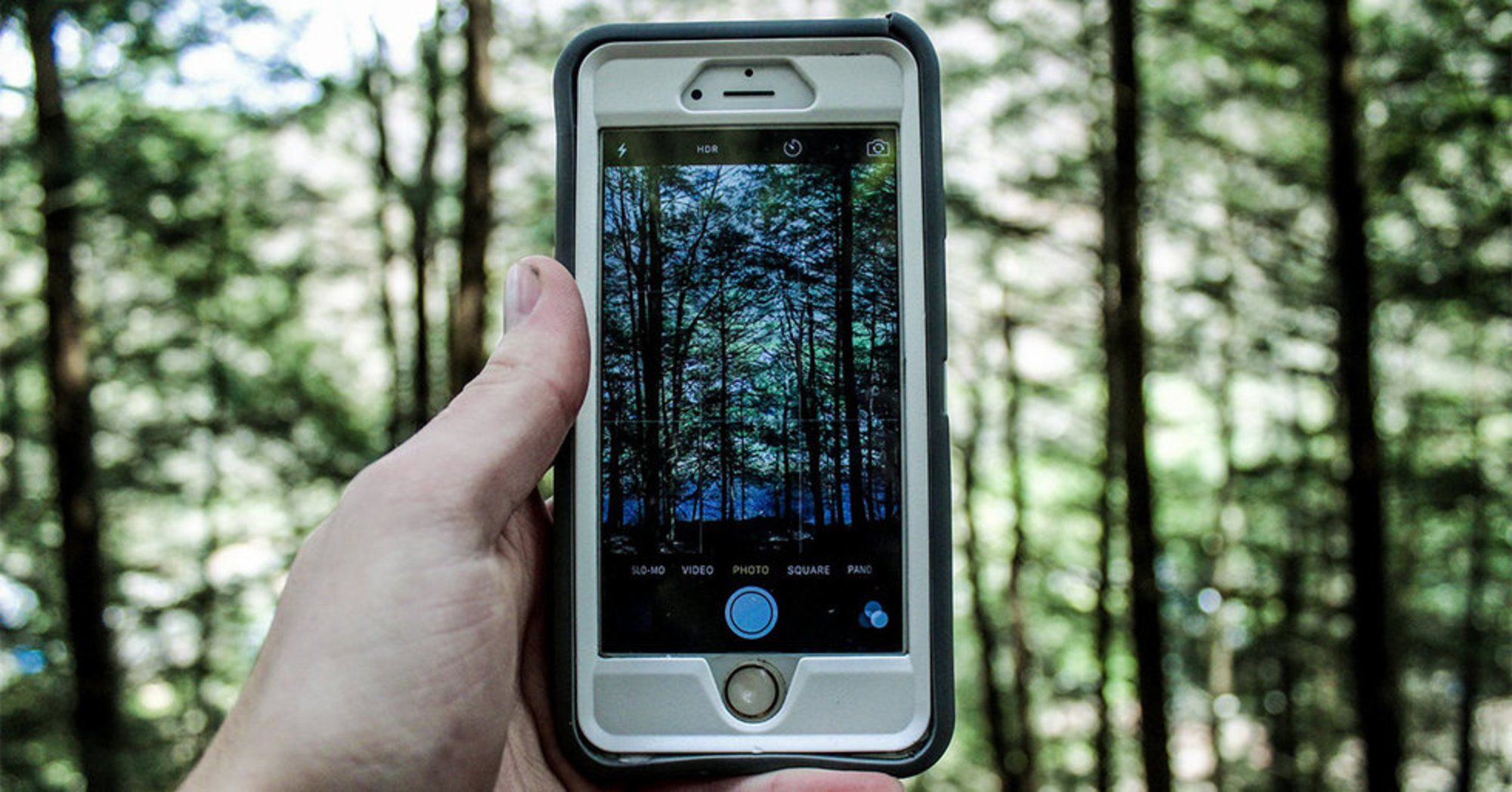 cellphones nature