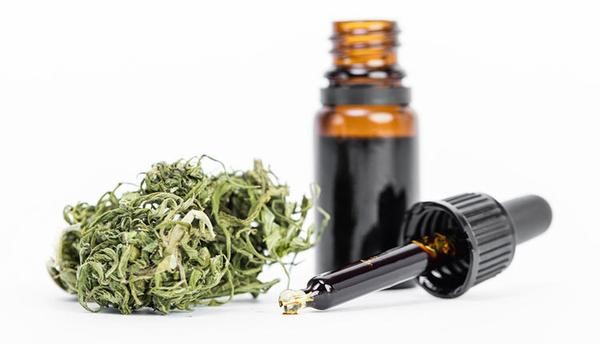 cbd scam cbd scam