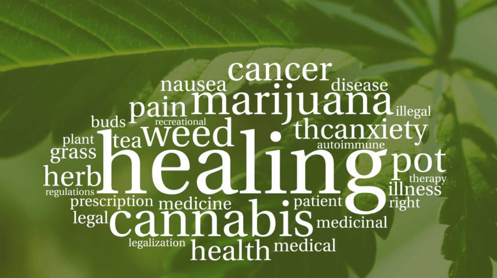 cannabis medicine