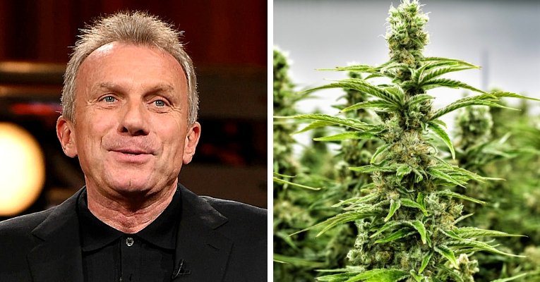 joe-montana-cannabis-marijuana