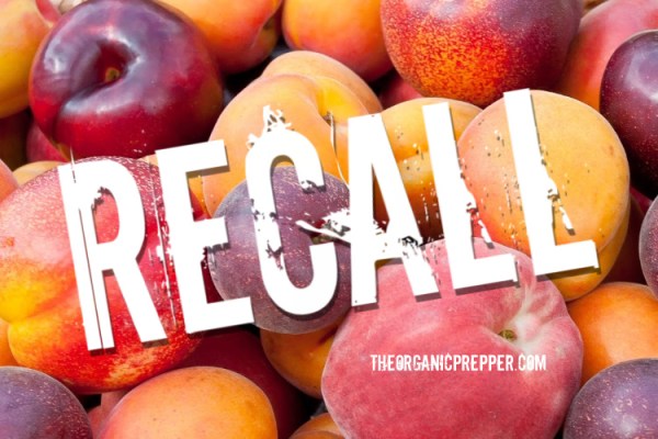 recall-peaches-plums-nectarines recall-peaches-plums-nectarines