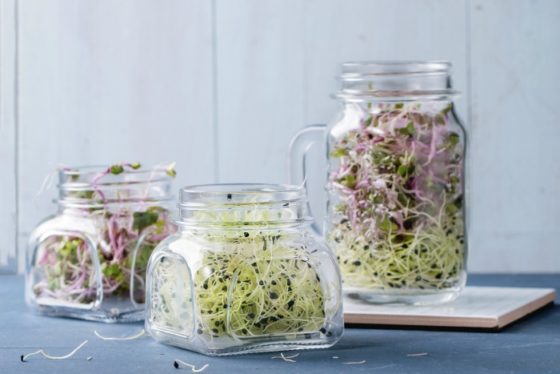 sprouts-e1548698983743