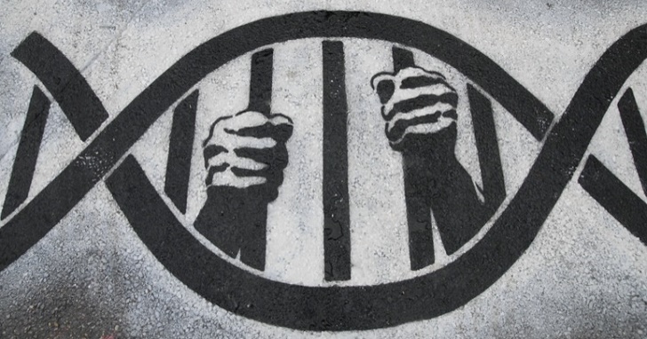 DNA-FBI-1 DNA-FBI-1