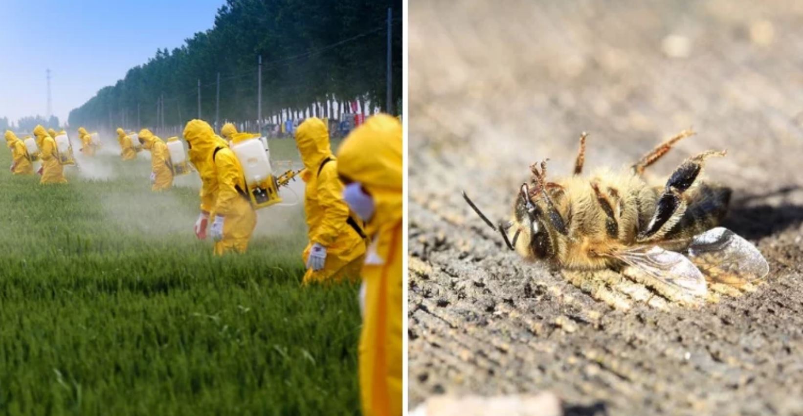 EPA emergency