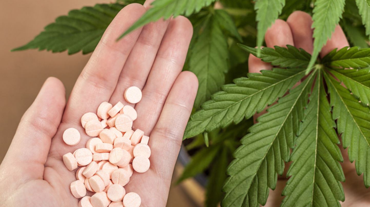 cannabis big pharma cannabis big pharma