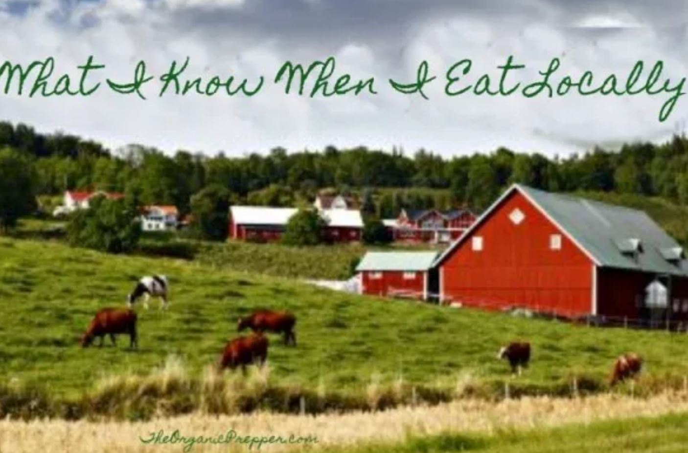 eat locally
