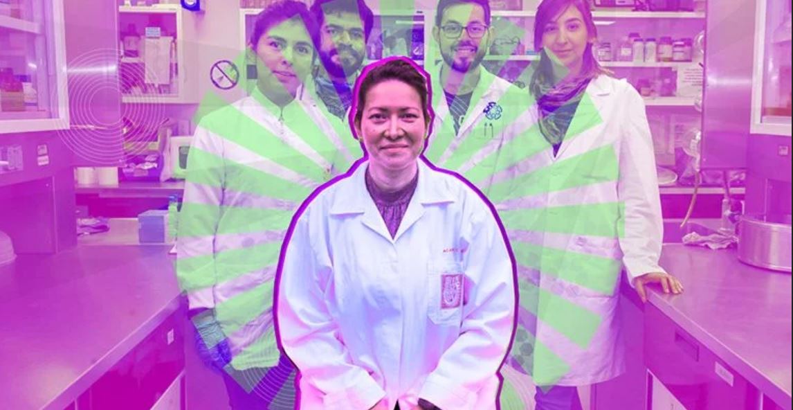mexico hpv cancer mexico hpv cancer