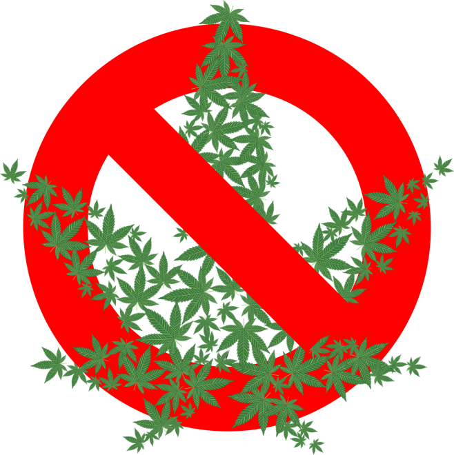 no cannabis no cannabis