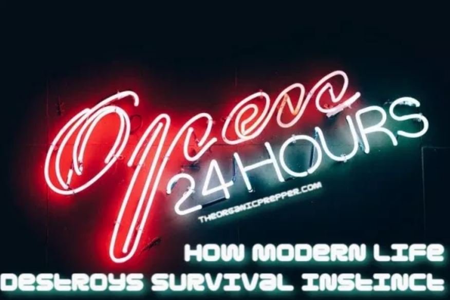 How Modern Life Destroys Survival Instinct