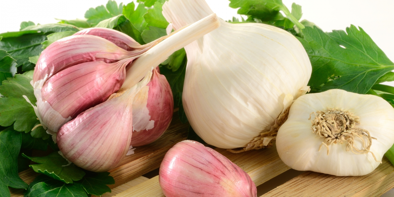 garlic garlic