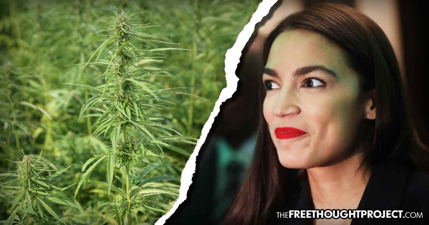 aoc-hemp-1392x731 aoc-hemp-1392x731