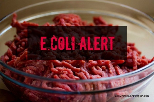 e-coli