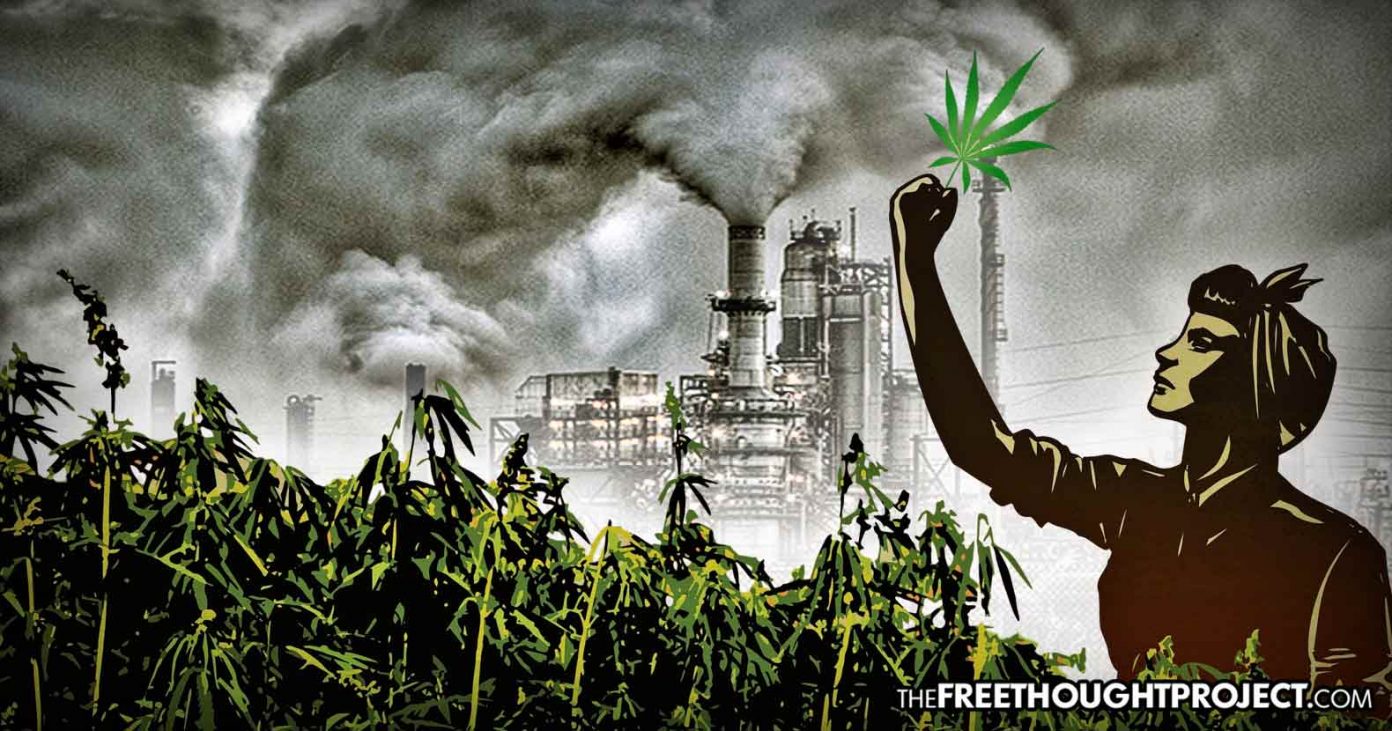 hemp-petro-chemical-1392x731