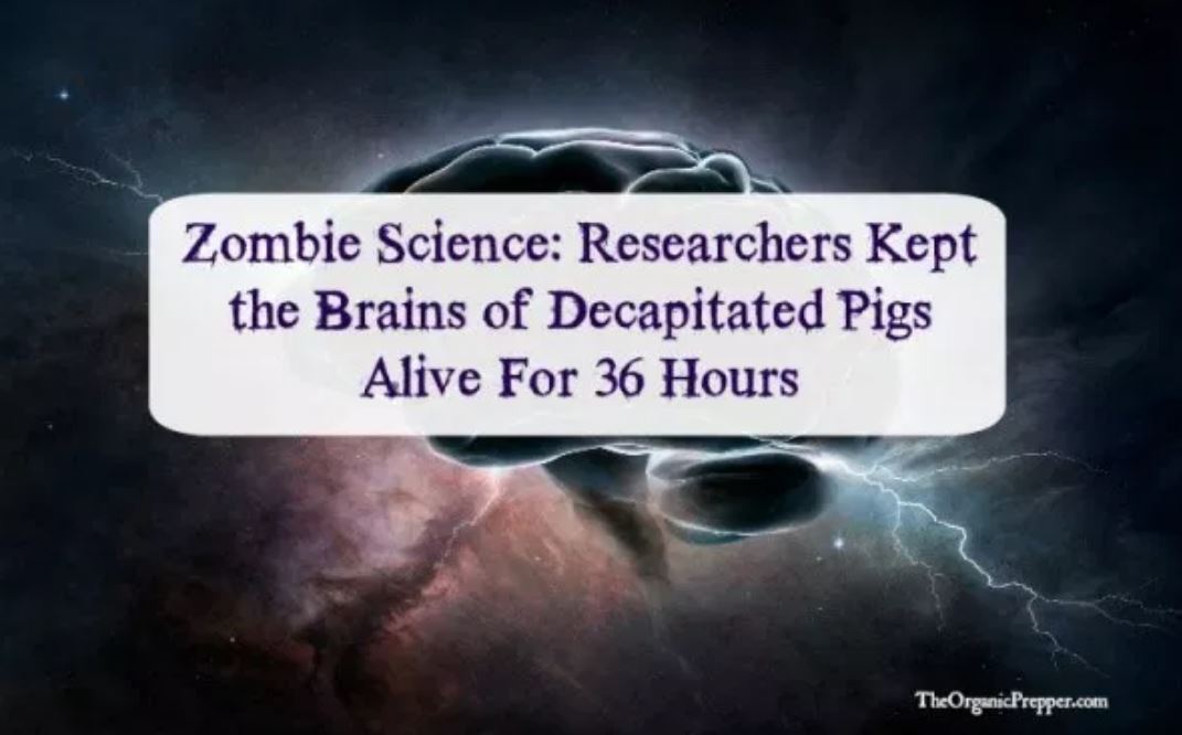 zombie science