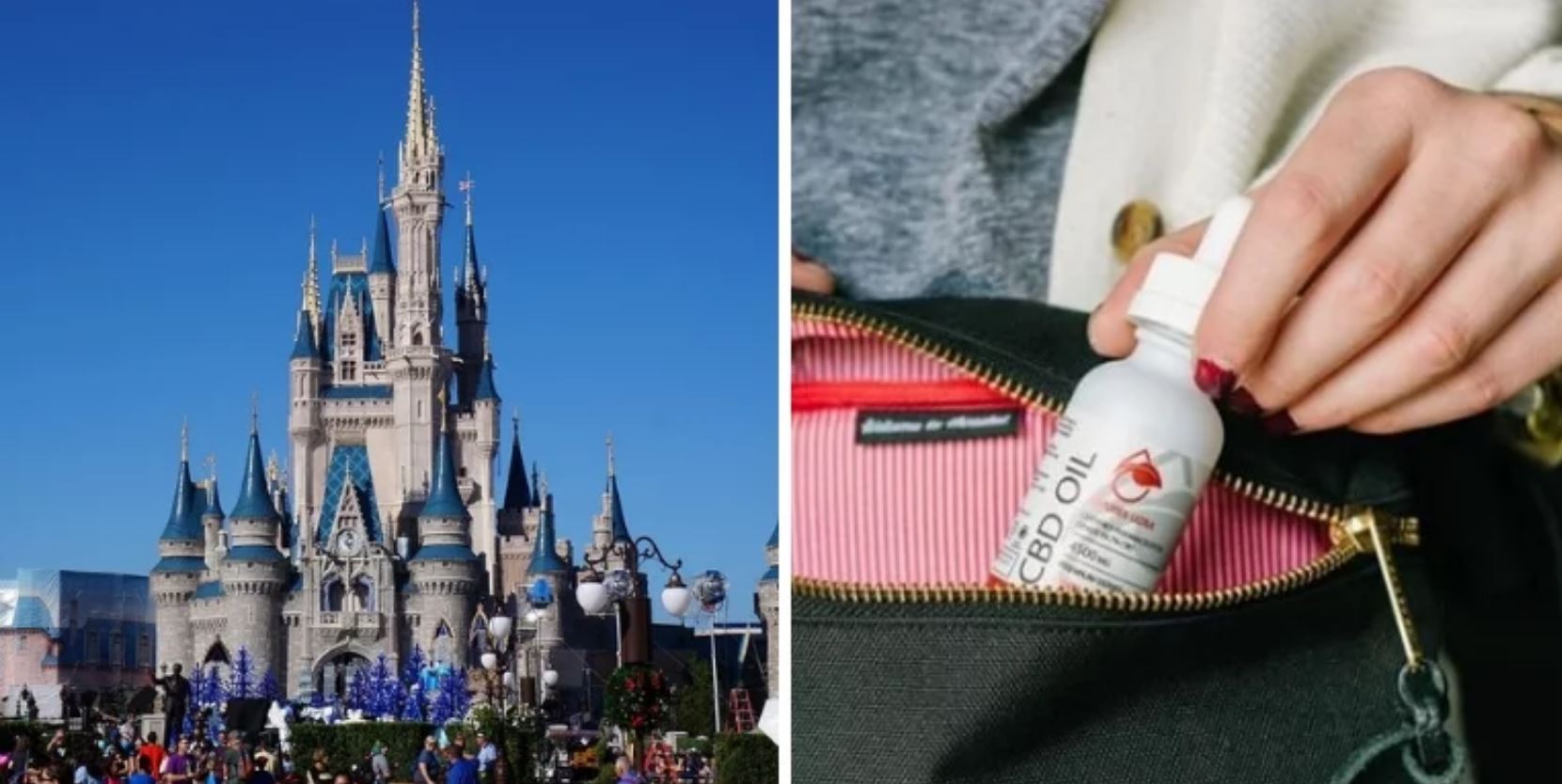 cbdisney cbdisney