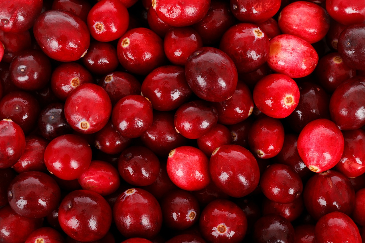 cranberry antibacterial