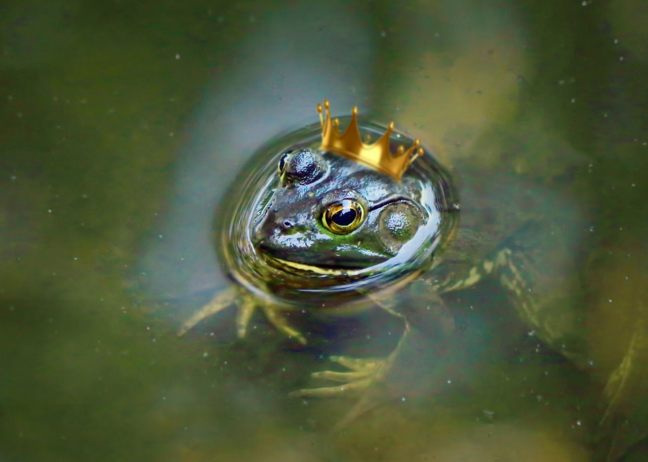 Smoking Psychedelic Toad Milk Could Alleviate Depression For Up To 4 Weeks