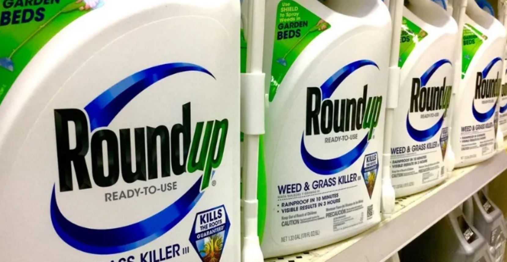 monsanto roundup tmu