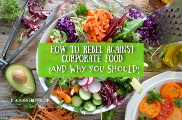 How-to-Rebel-Against-Corporate-Food-and-Why-You-Should How-to-Rebel-Against-Corporate-Food-and-Why-You-Should