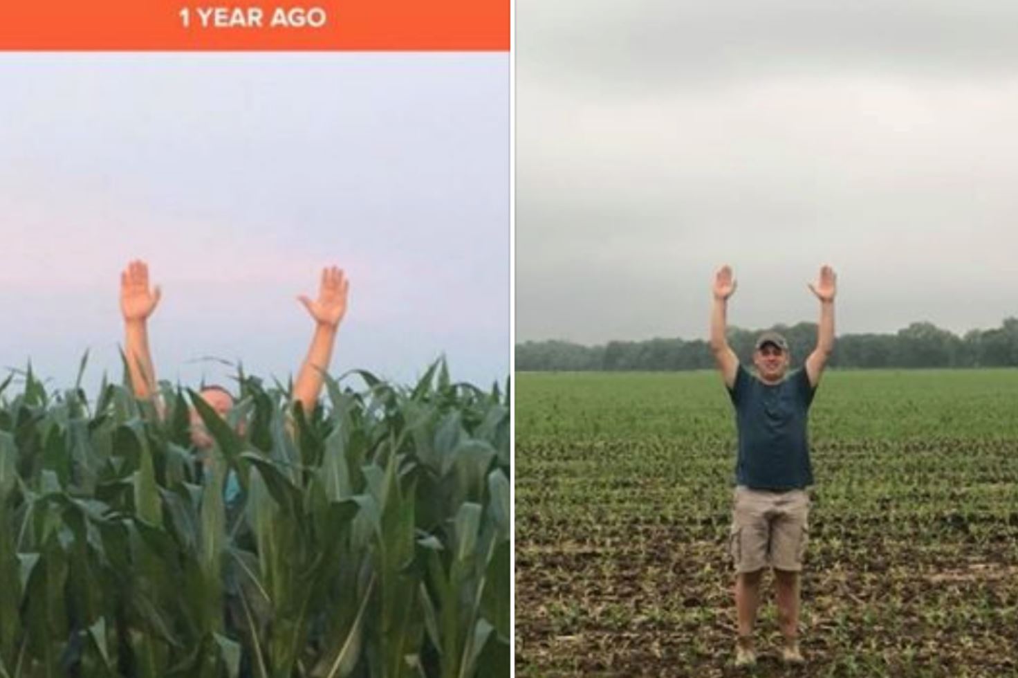 crop failures crop failures