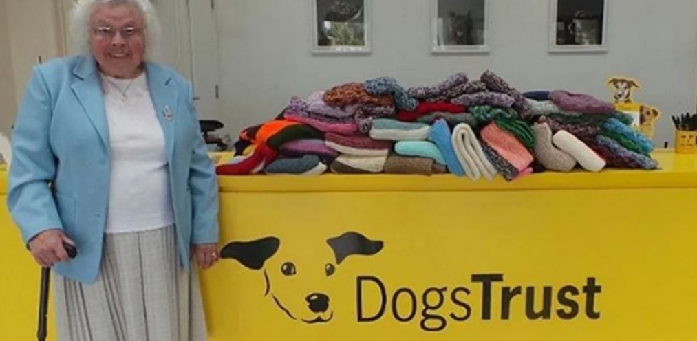 dogs trust TT