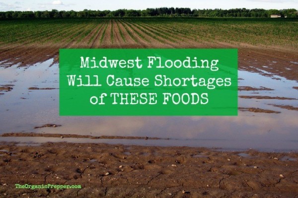 farm-flood farm-flood