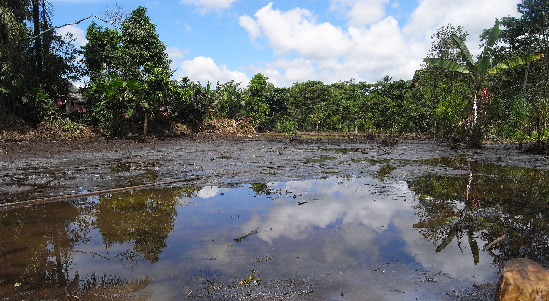 lago oil amazon wikipedia