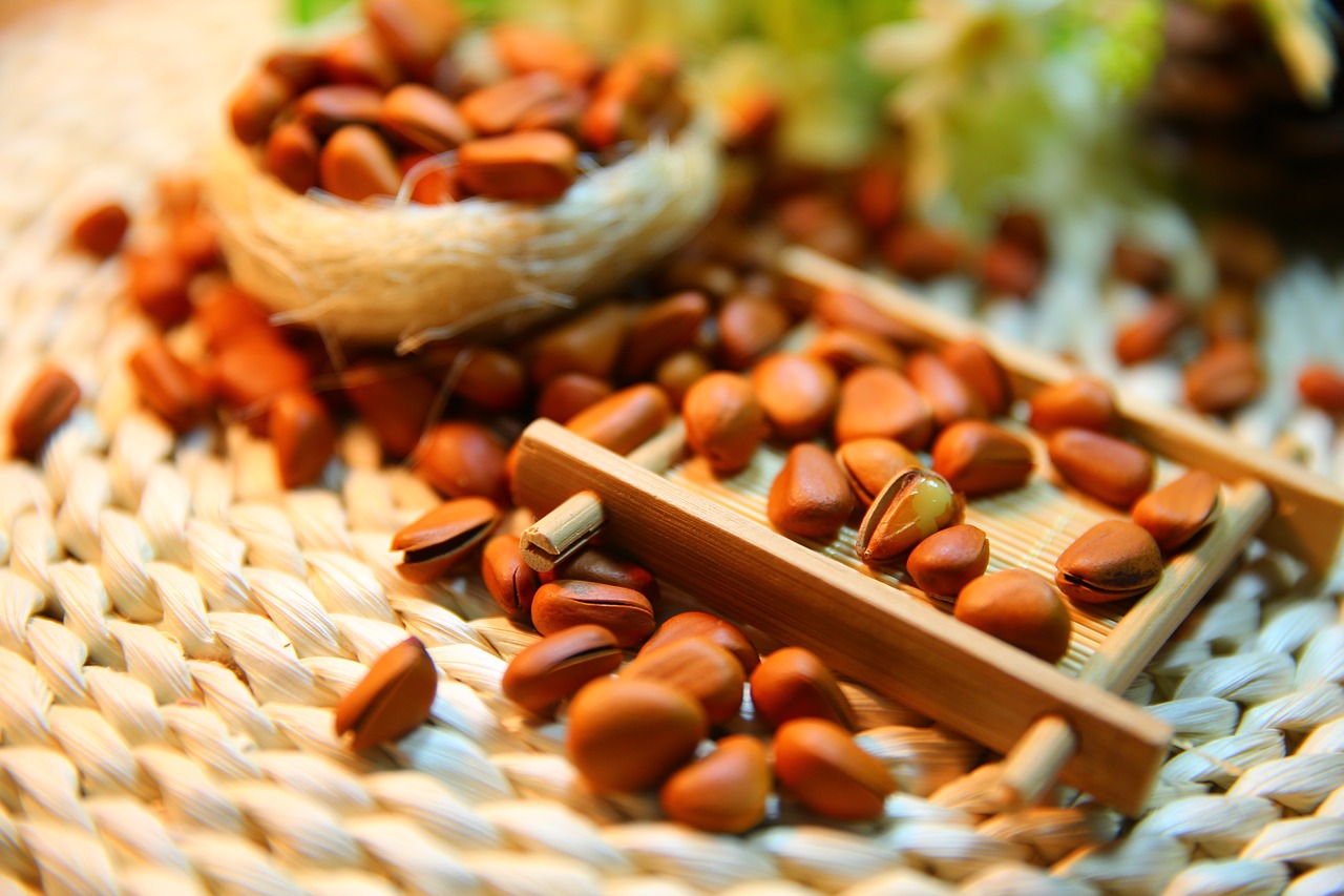 pine-nut-shells