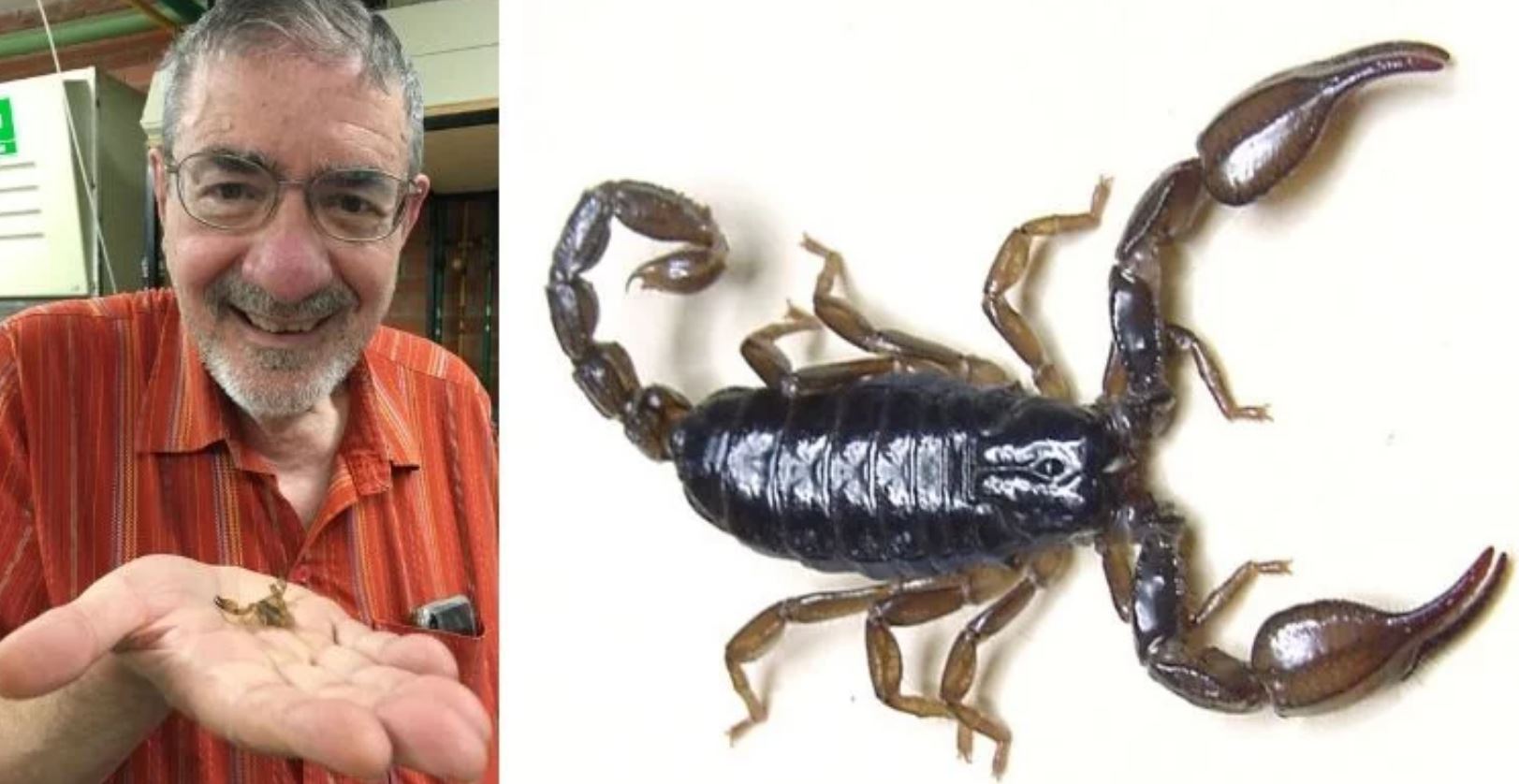 scorpion TMU