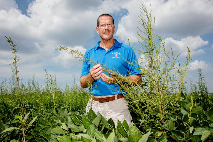 superweed resistant to herbicides