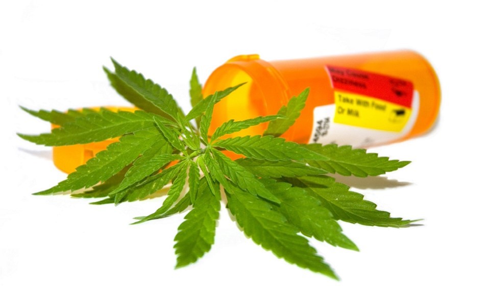 cannabis parkinson's