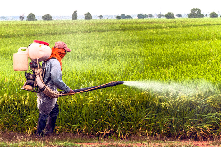 glyphosate-spraying