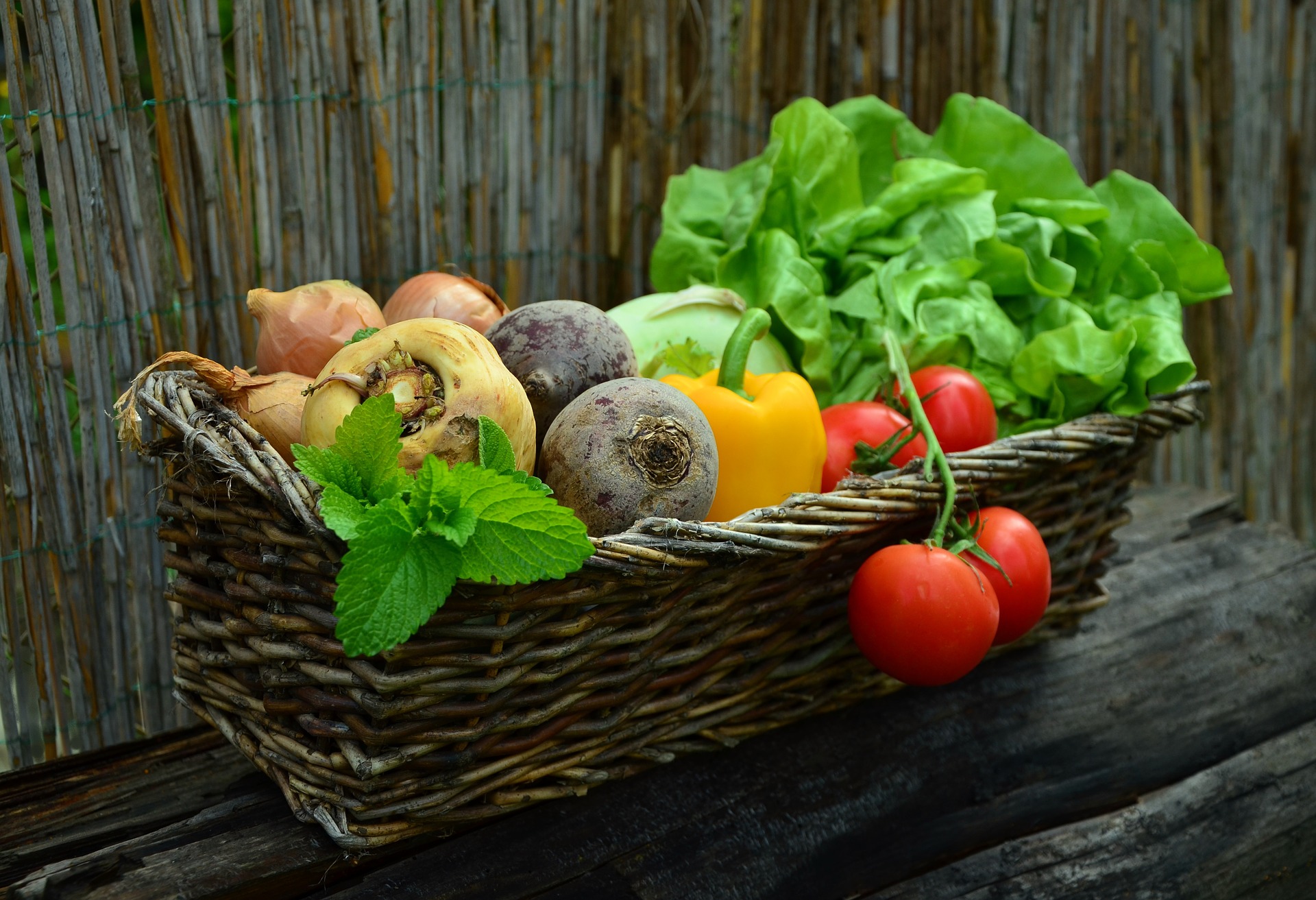 harvest