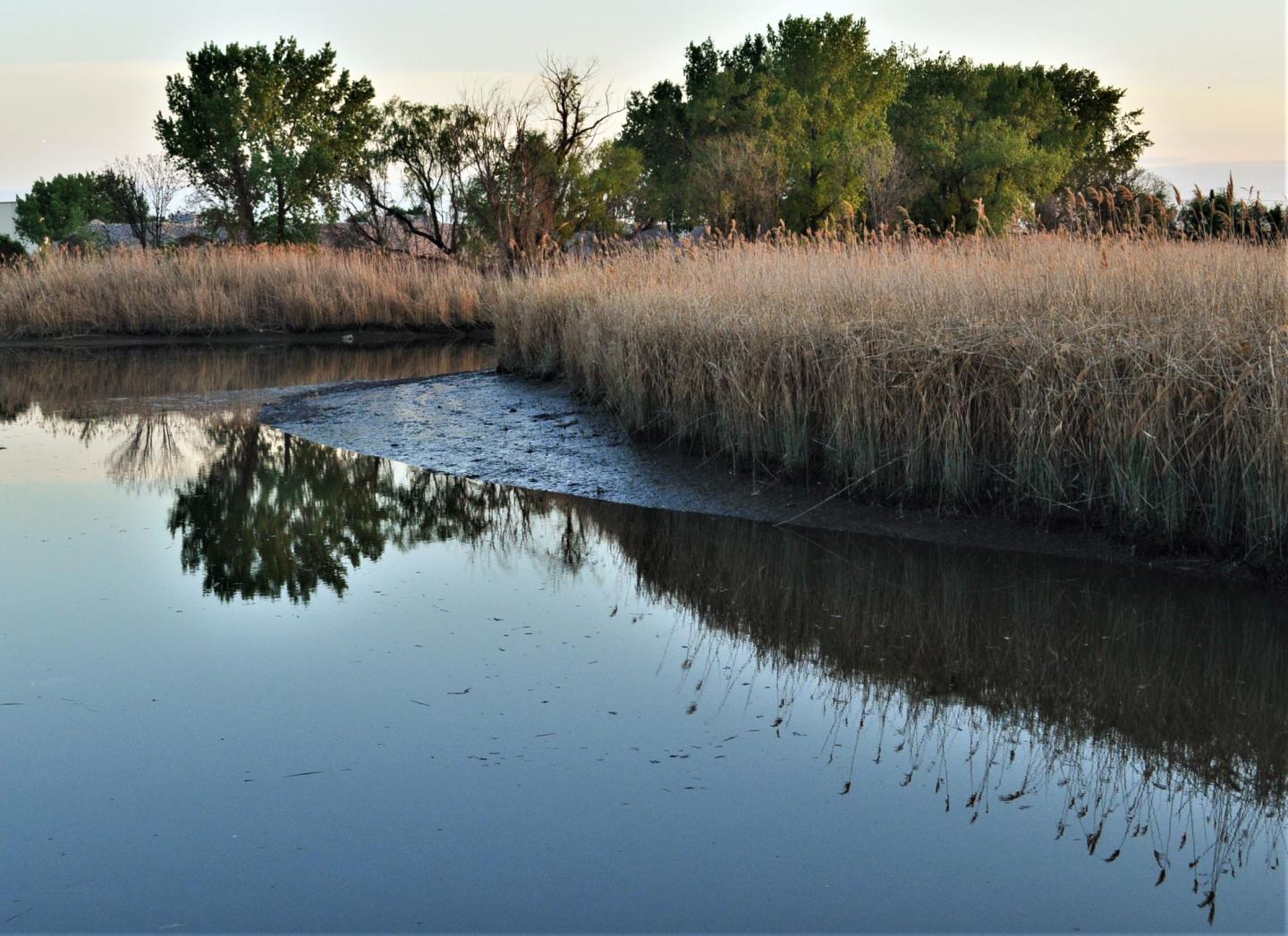 mercury water pollution new jersey meadowlands