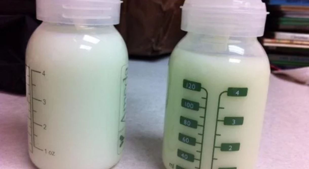 mother's milk TMU mother's milk TMU