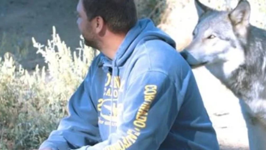 wolves TT